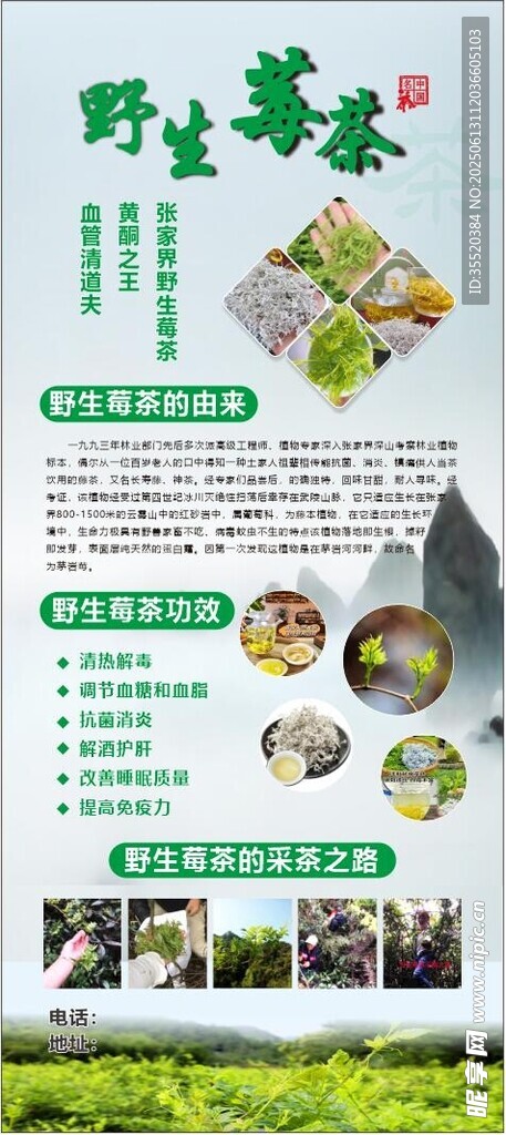 绿色有机蔬菜种植宣传页