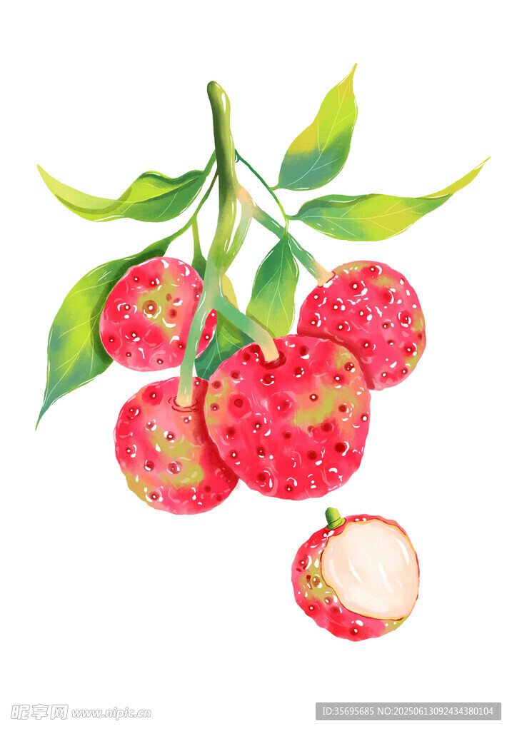 手绘荔枝