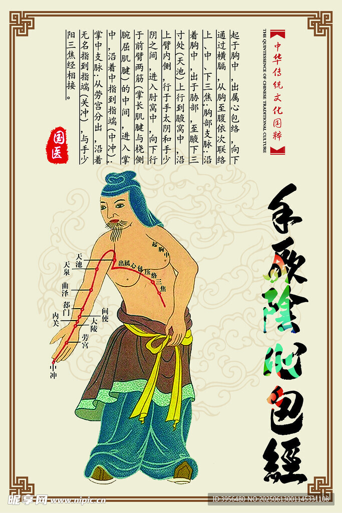 穴位 中医 经络 海报 挂图