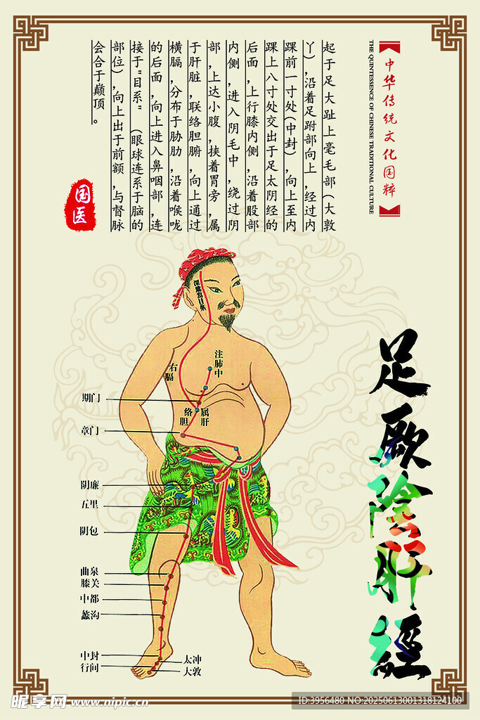 足厥阴肝经图示