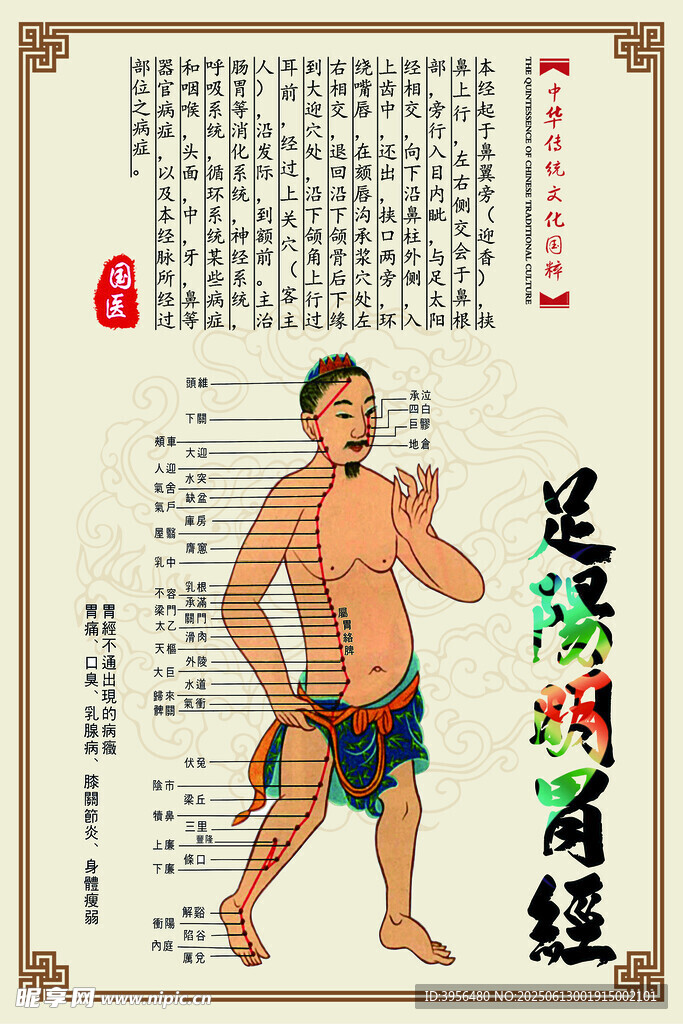 穴位 中医 经络 海报 挂图