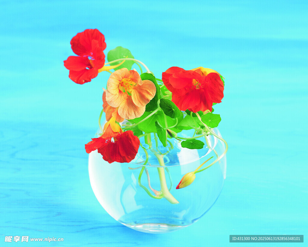 玻璃花瓶中的鲜艳花朵