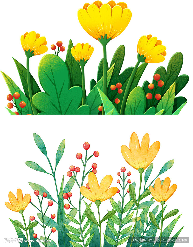 花卉插画