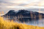 湖畔金黄草甸与远山美景