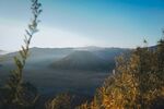 山间晨景 草木与远山相映