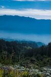山间晨景 云雾缭绕绿意浓