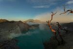 火山湖畔枯树景观