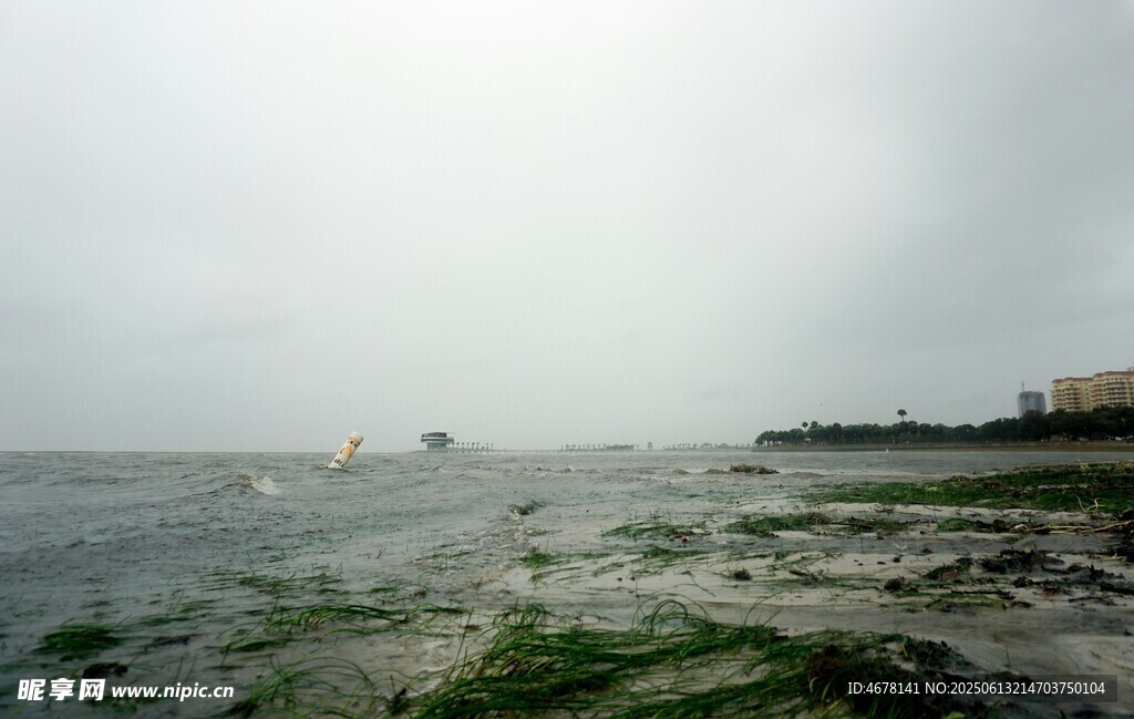 海边滩涂景象