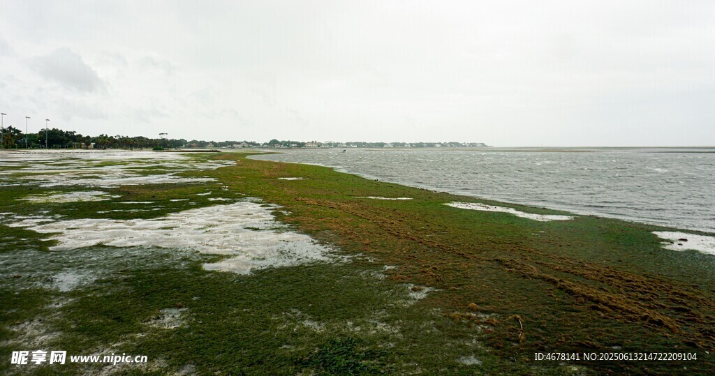 海边湿地景观