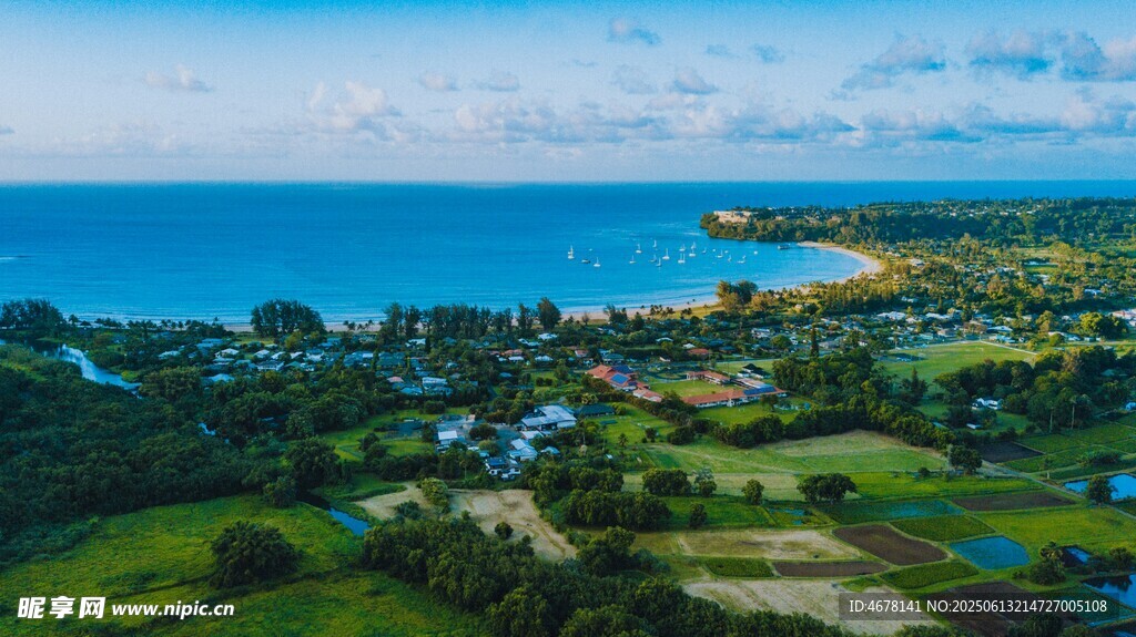 海滨绿野风光美景