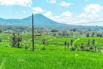 翠绿田野与远山美景