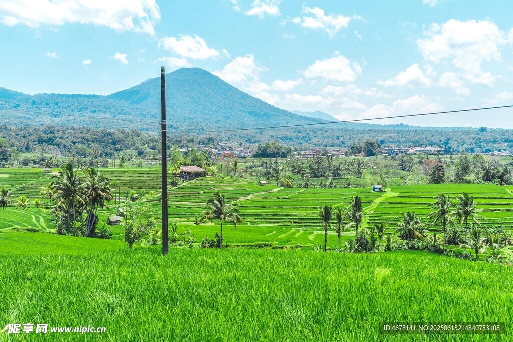 翠绿田野与远山美景