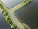 田野中的岔路