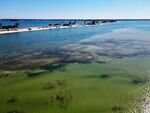 清澈碧绿的海边风景