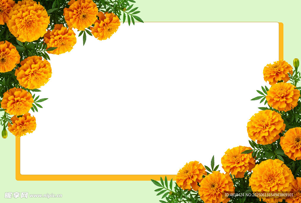 菊花边框展板