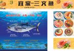 三文鱼海鲜产品