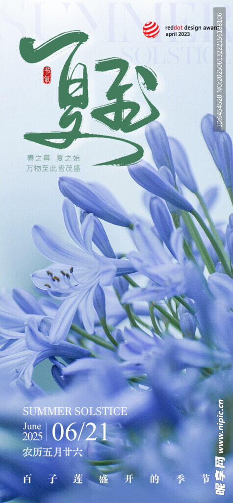 夏至节气海报