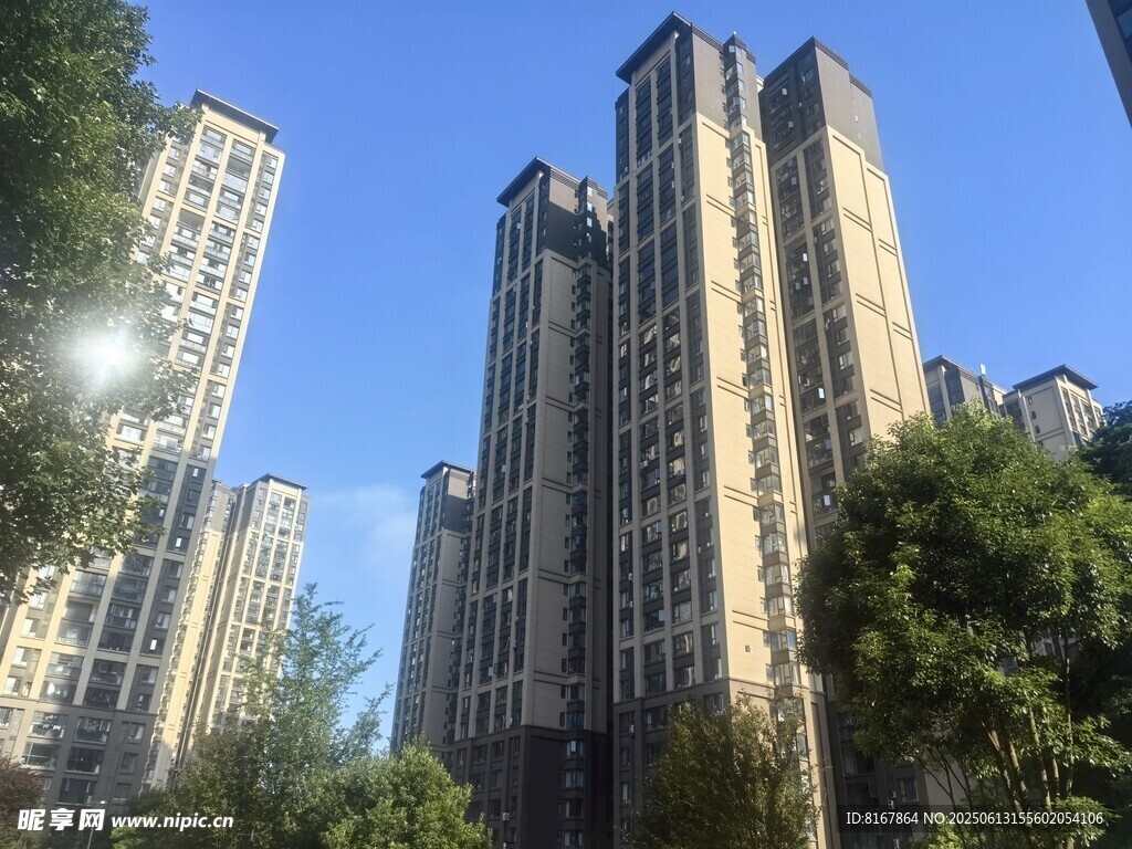 城市高楼与绿树相映成趣