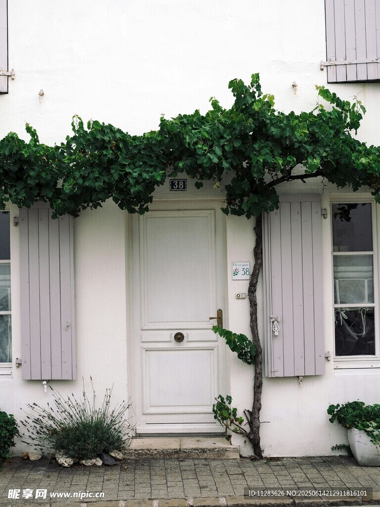 白色小屋的绿植装饰门