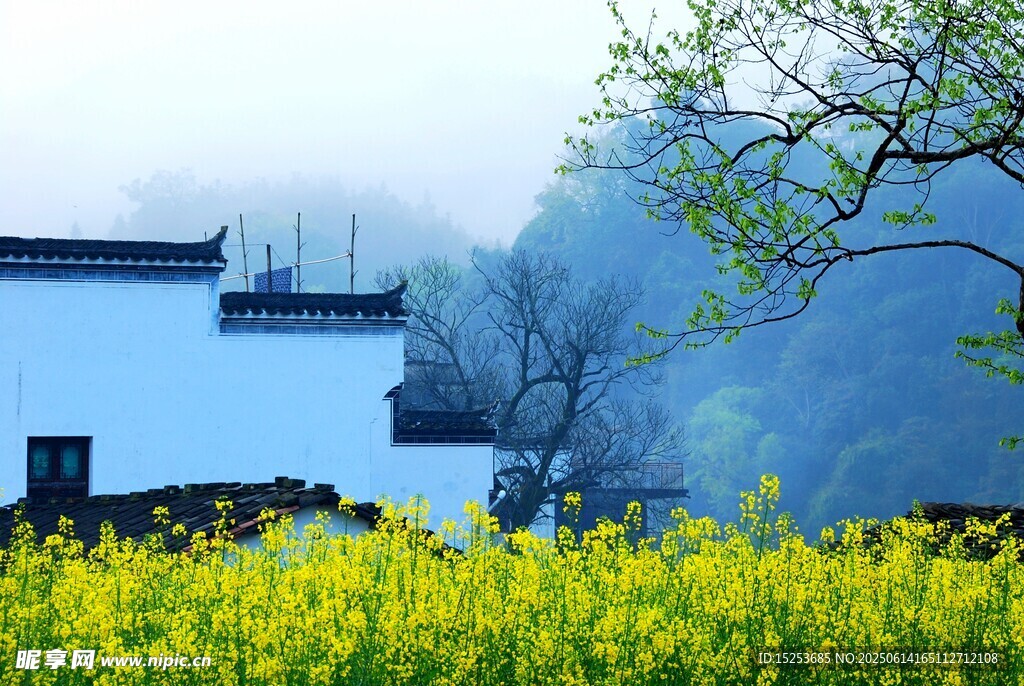 春日徽派田园美景