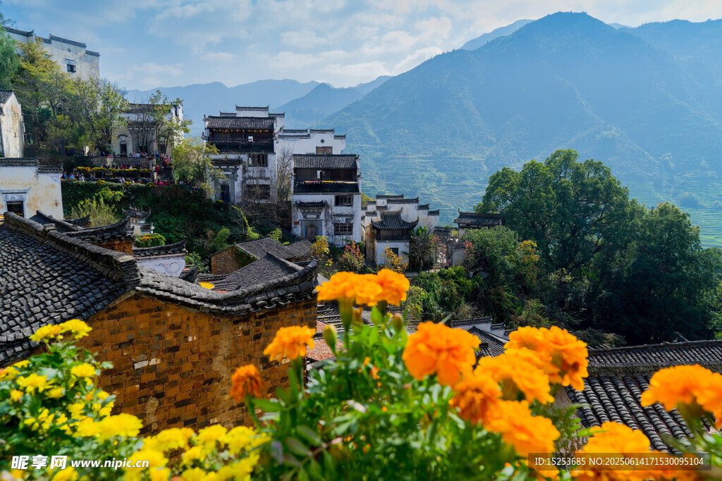 山村美景繁花簇拥的村落