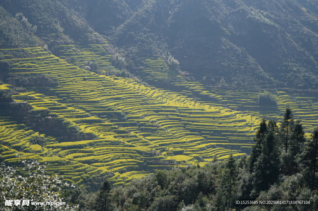 山间梯田美景