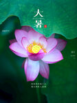 大暑