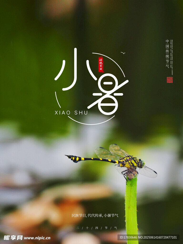 小暑海报