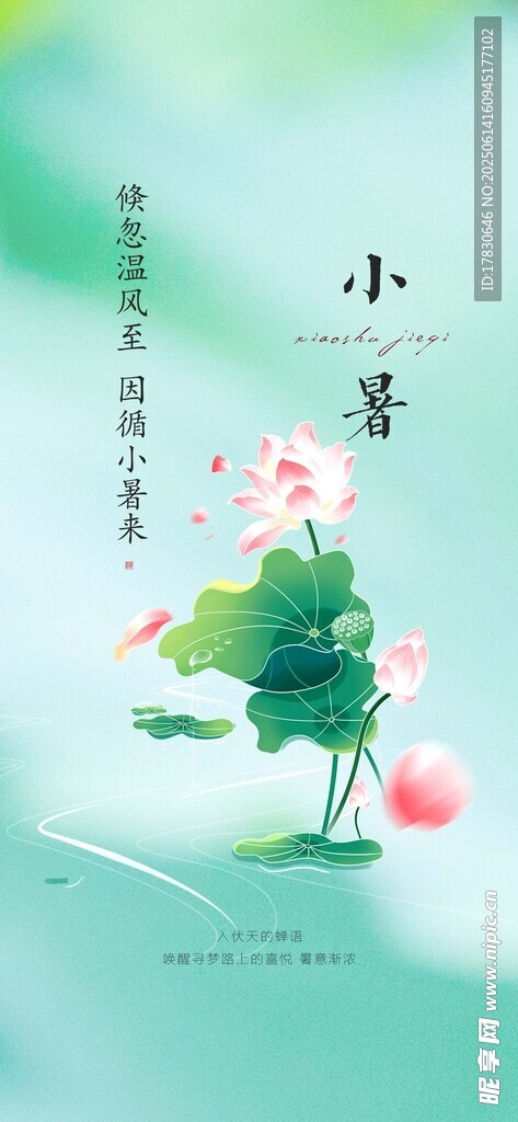 小暑海报