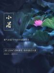 小暑海报