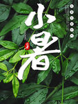 小暑海报