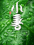 小暑海报
