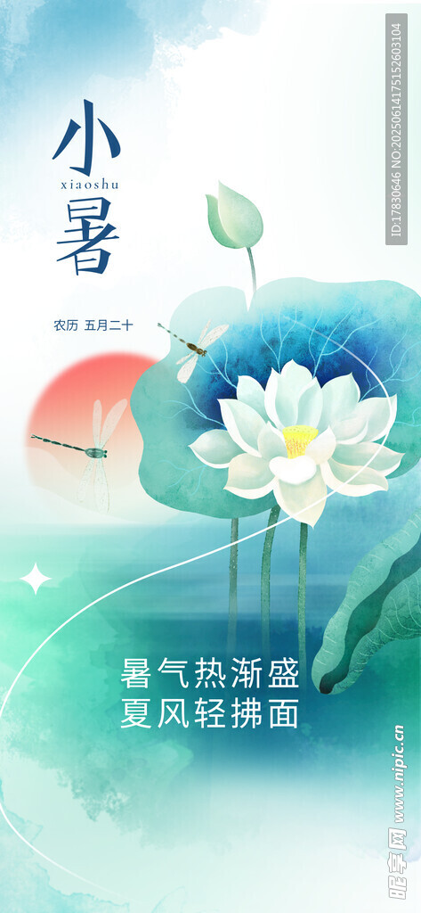 小暑海报
