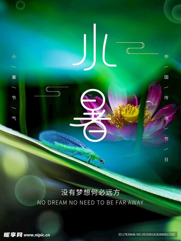 小暑海报