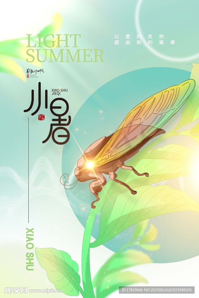 小暑海报
