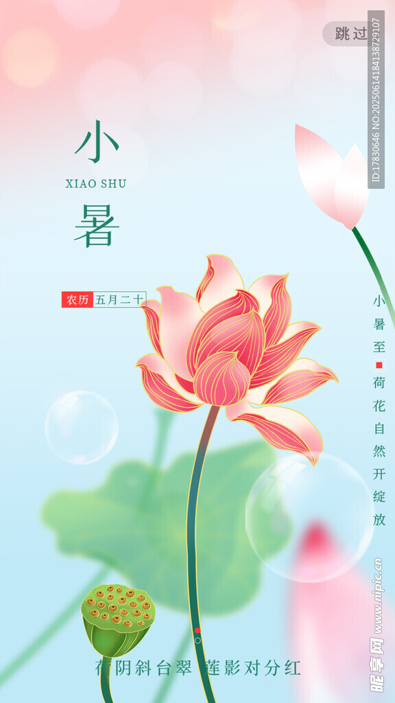 小暑海报