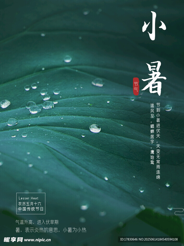 小暑海报