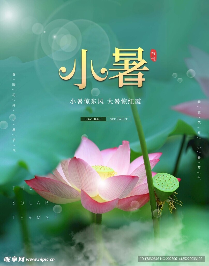 小暑海报