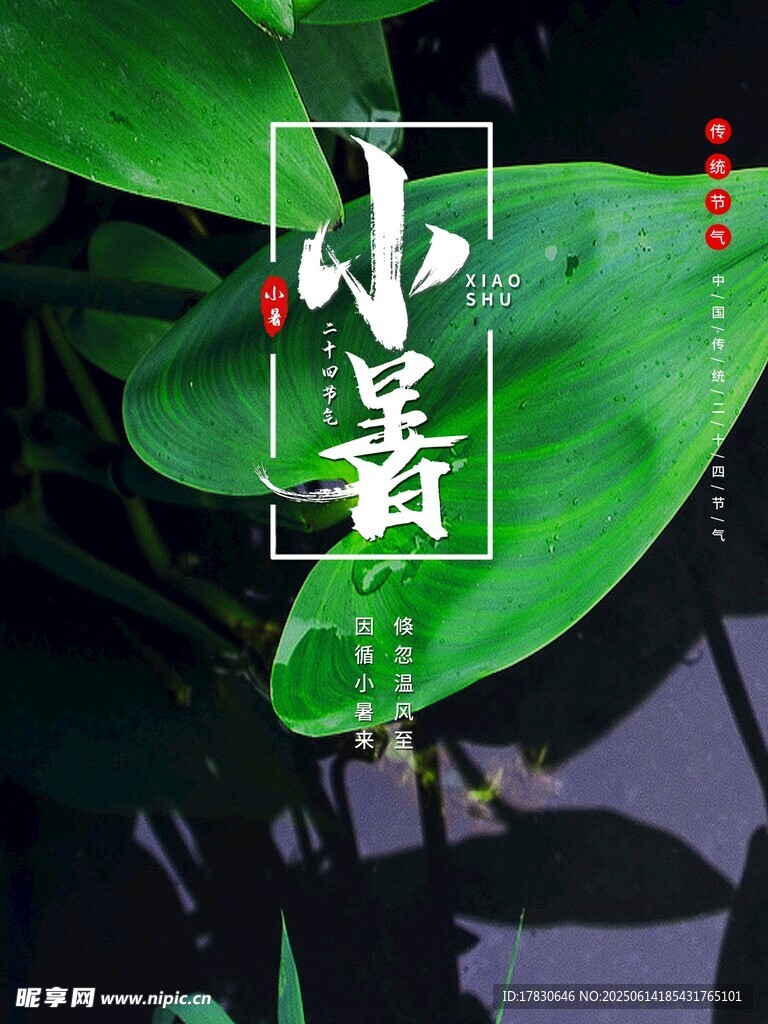 小暑海报