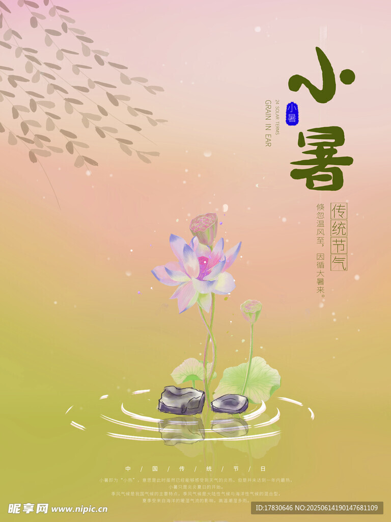 小暑海报