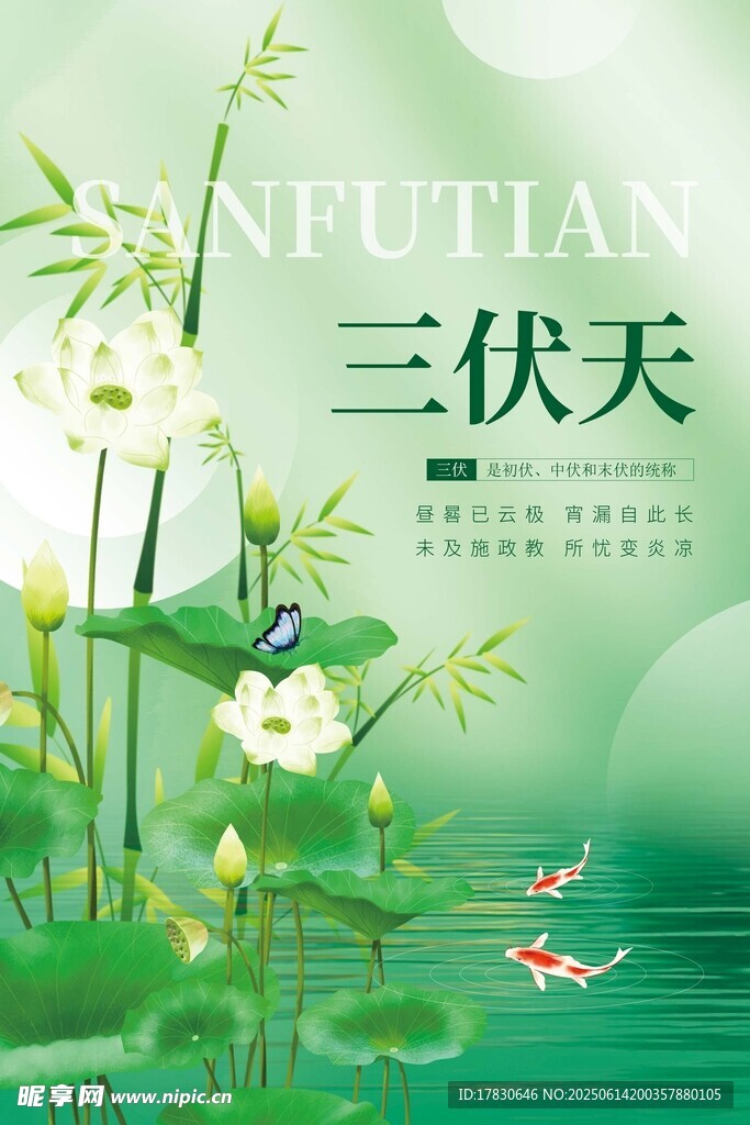 三伏天海报
