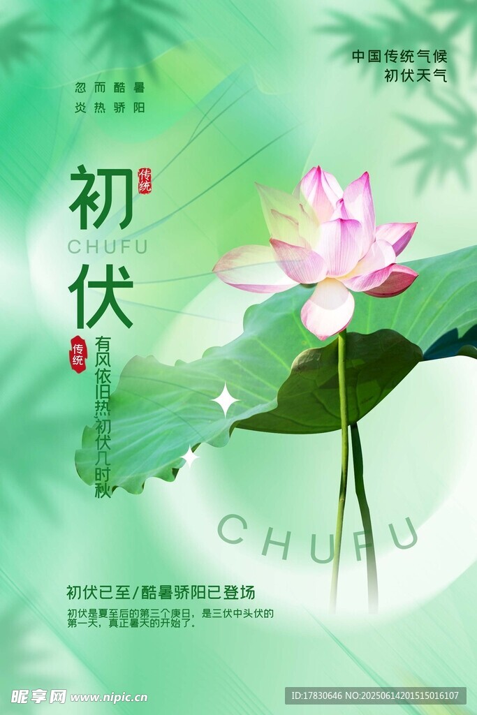 三伏天海报