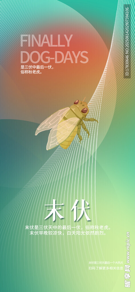 三伏天海报