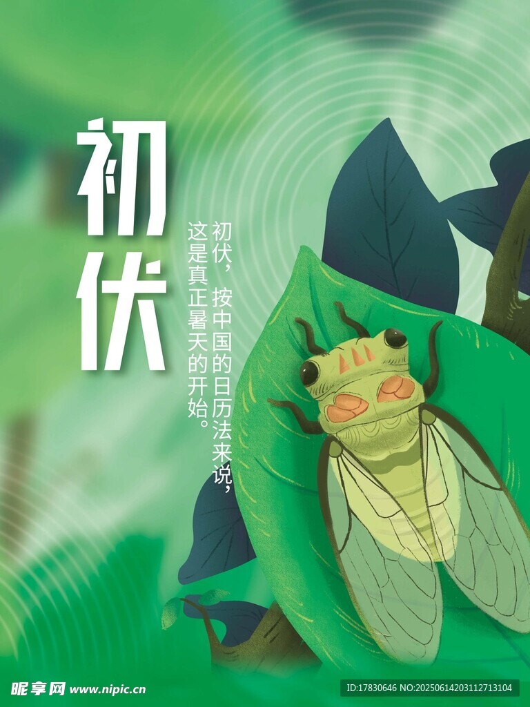 三伏天海报