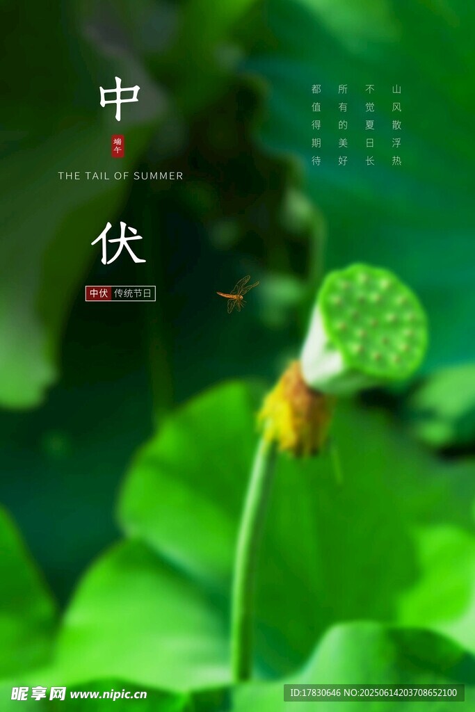 三伏天海报