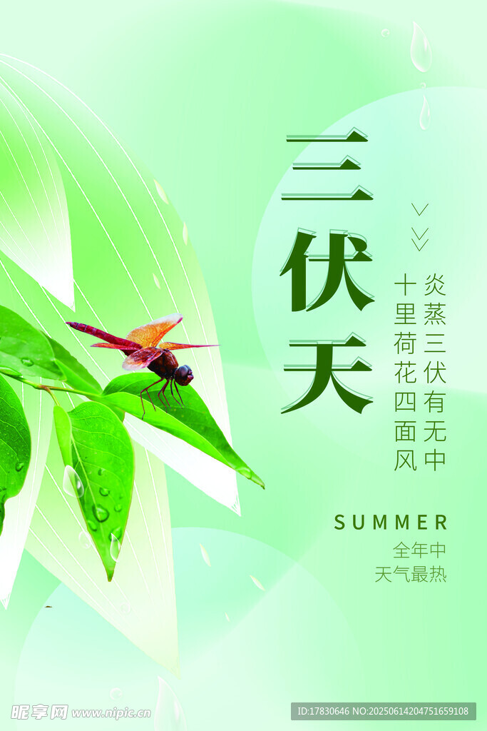 三伏天海报
