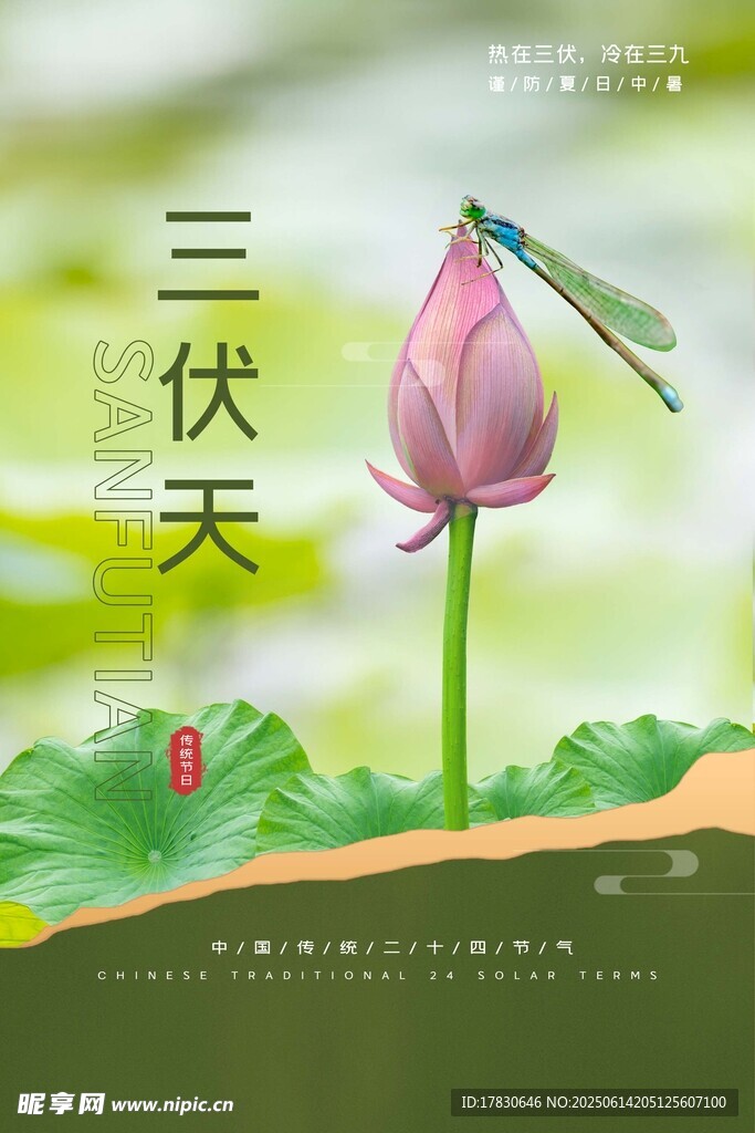 三伏天海报