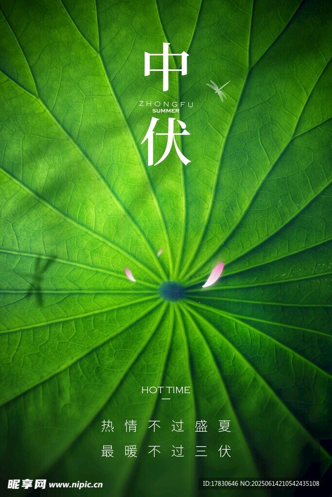 三伏天海报