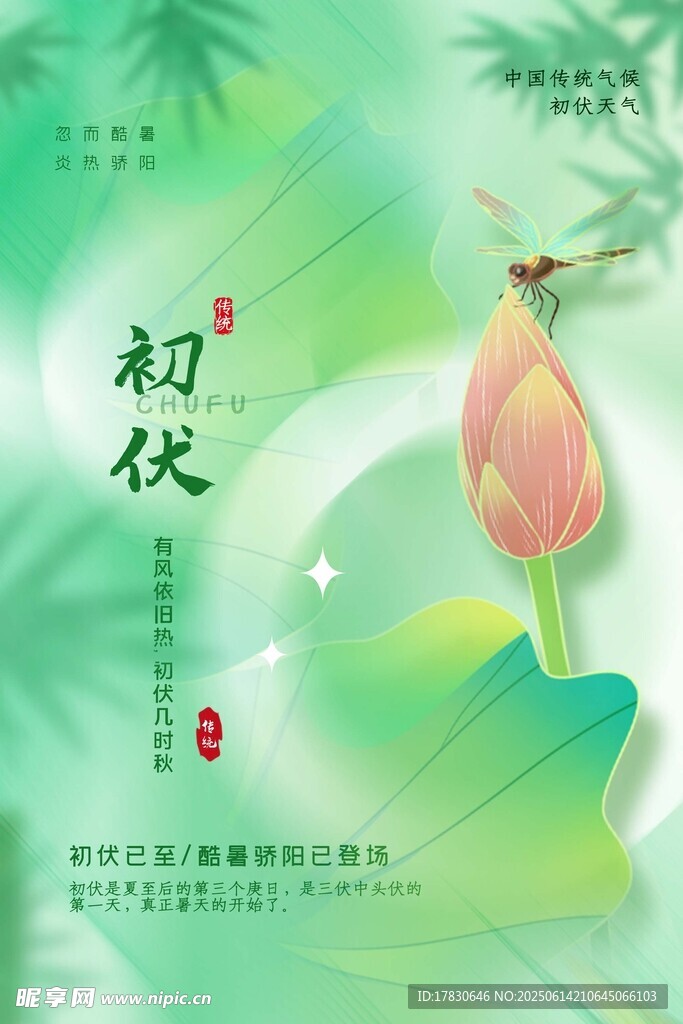 三伏天海报