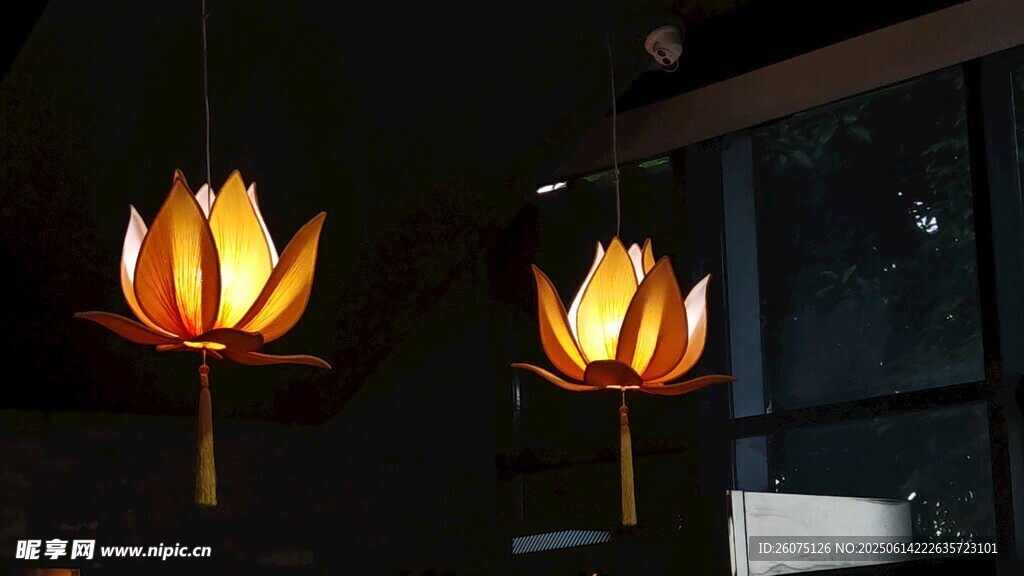 两盏莲花造型发光灯具